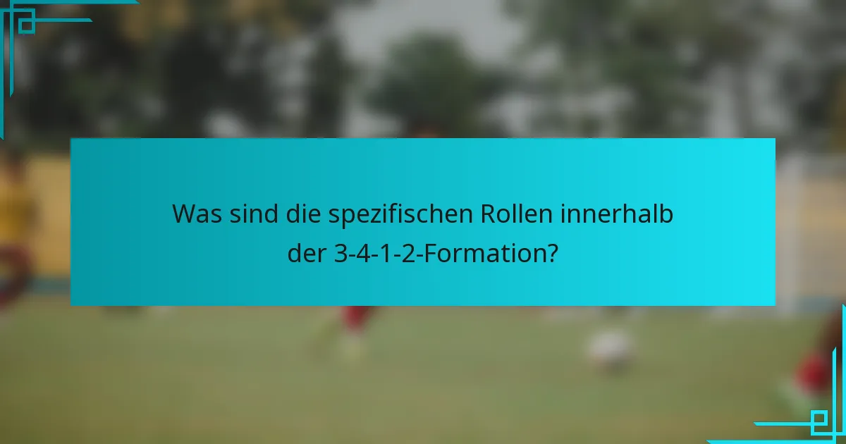 Was sind die spezifischen Rollen innerhalb der 3-4-1-2-Formation?