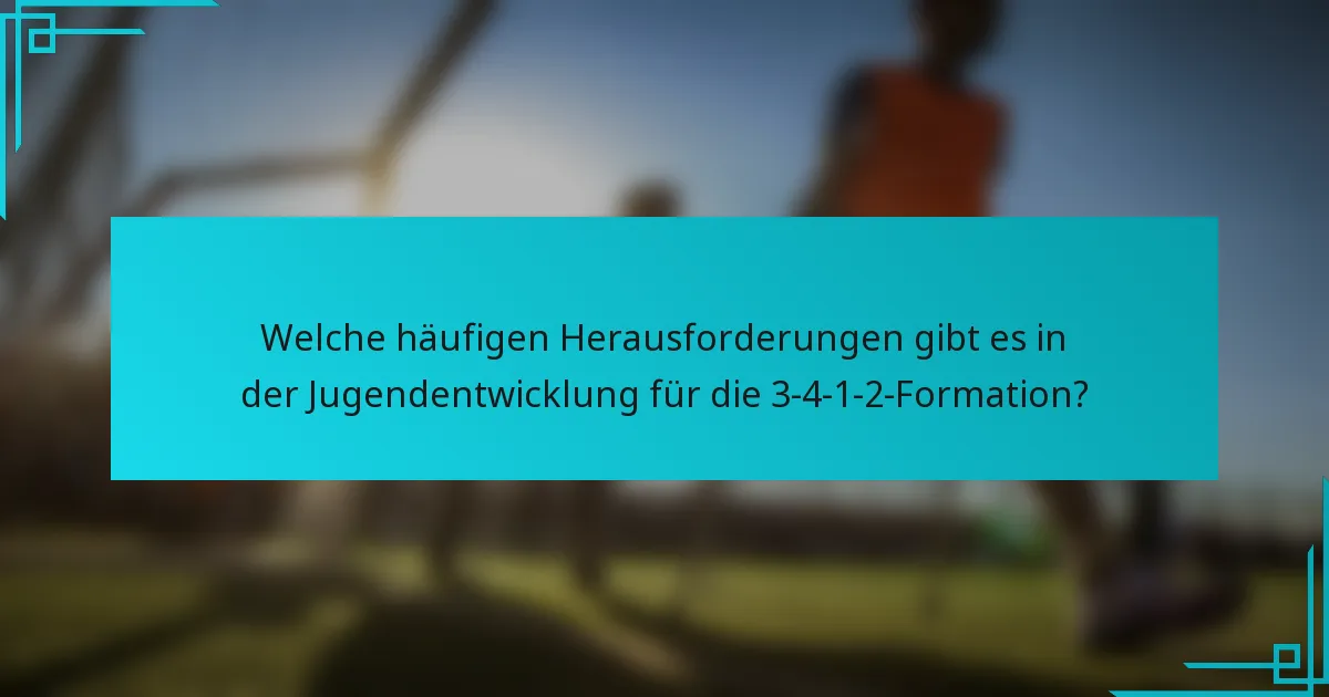 Welche häufigen Herausforderungen gibt es in der Jugendentwicklung für die 3-4-1-2-Formation?