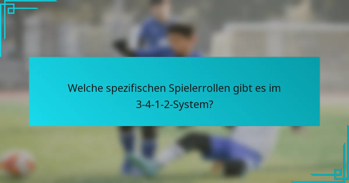 Welche spezifischen Spielerrollen gibt es im 3-4-1-2-System?