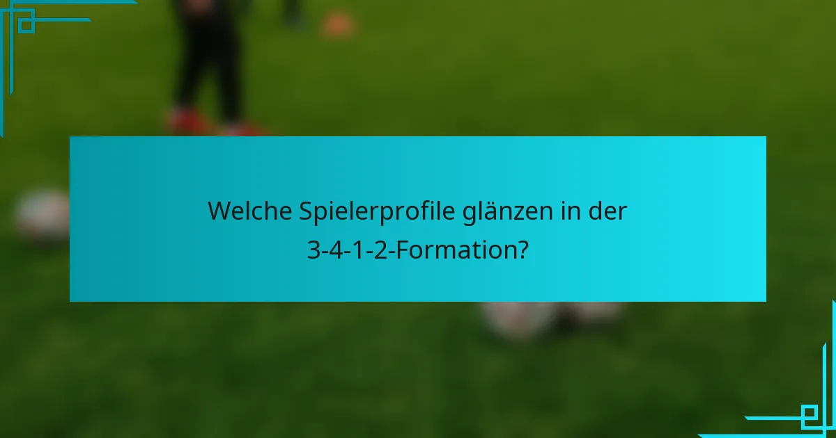 Welche Spielerprofile glänzen in der 3-4-1-2-Formation?