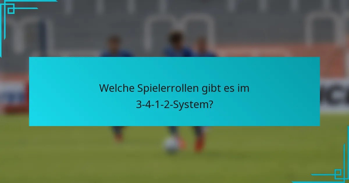 Welche Spielerrollen gibt es im 3-4-1-2-System?